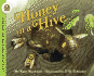 Honey in a Hive