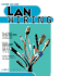 Lan Wiring