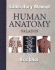 Human Anatomy Laboratory Manual