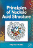 Principles of Nucleic Acid Structure