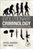 Evolutionary Criminology: Towards a Comprehensive Explanation of Crime