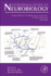 Animal Models for Medications Screening to Treat Addiction
