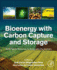 Bioenergy with Carbon Capture and Storage: Using Natural Resources for Sustainable Development