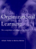 Organizational Learning: the Competitive Advantage of the Future