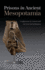 Prisons in Ancient Mesopotamia: Confinement and Control until the First Fall of Babylon