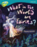 Oxford Reading Tree: Level 9: Treetops Non-Fiction: What in the World Are Fairies?