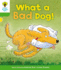 Oxford Reading Tree: Level 2: Stories: What a Bad Dog!