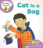 Oxford Reading Tree: Level 1+: Floppys Phonics: Cat in a Bag (Floppy Phonics)