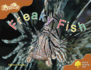 Oxford Reading Tree: Stage 8: Fireflies: Freaky Fish