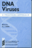 Dna Viruses: a Practical Approach (the ^Apractical Approach Series)