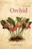 Orchid: a Cultural History