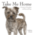 Take Me Home! : Rescue Dogs