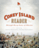 A Coney Island Reader: Through Dizzy Gates of Illusion