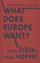 What Does Europe Want? : the Union and Its Discontents (Insurrections: Critical Studies in Religion, Politics, and Culture)