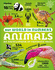 Our World in Numbers Animals: an Encyclopedia of Fantastic Facts (Dk Our World in Numbers)