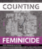 Counting Feminicide