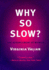 Why So Slow? : the Advancement of Women (the Mit Press)