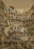 Where Dragon Veins Meet