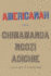 Americanah: a Novel