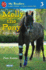 Molly the Pony: a True Story (My Readers)