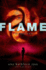 Flame: Book Three of the Sky Chasers (Sky Chasers, 3)