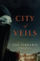 City of Veils: a Novel