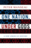 One Nation, Under Gods: a New American History