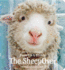 The Sheepover (Sweet Pea & Friends)
