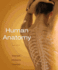 Human Anatomy [With Cdrom]
