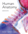 Human Anatomy