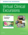 Virtual Clinical Excursion Online and Print Workbook for Foundations of Nursing