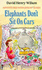 Elephants Don't Sit on Cars (Piccolo Books)