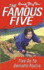 Famous Five 19: Five Go to Demon's Rocks