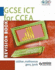 Gcse Ict for Ccea: Revision Book