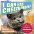 I Can Has Cheezburger (Icanhascheezeburger. Com)