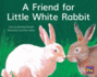 Friend for Little White Rabbit, : Leveled Reader Yellow Fiction Level 8 Grade 1 (Rigby Pm)