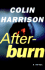 Afterburn: a Novel