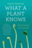 What a Plant Knows: a Field Guide to the Senses