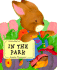 In the Park (Baby Bunny Board Book)