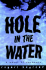 Hole in the Water: a Novel of Suspense