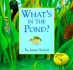What's in the Pond?