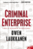 Criminal Enterprise (a Stevens and Windermere Novel)