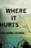 Where It Hurts (a Gus Murphy Novel)