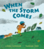When the Storm Comes