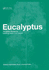 Eucalyptus the Genus Eucalyptus (Hb 2012) Medicinal Plants of the World