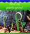 How Do Plants Grow? (Young Explorer: World of Plants) (Young Explorer: World of Plants)