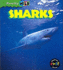 Shark (Really Wild)