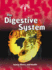 The Digestive System (Body Focus)