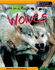 Animal Groups: Life in a Pack of Wolves