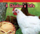 A Chicken's Life (Watch It Grow)